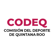 Logo CODEQ